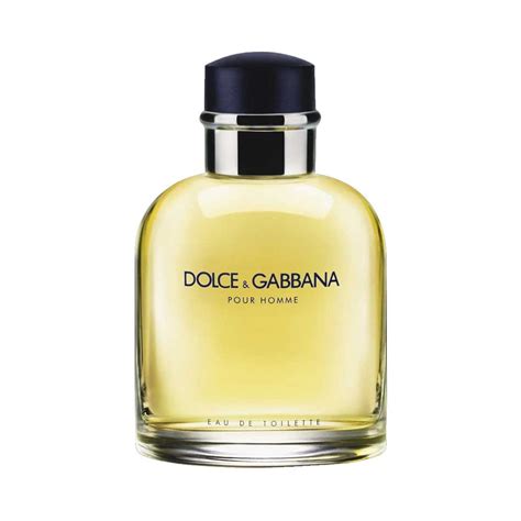 Amazon.it: Dolce E Gabbana 